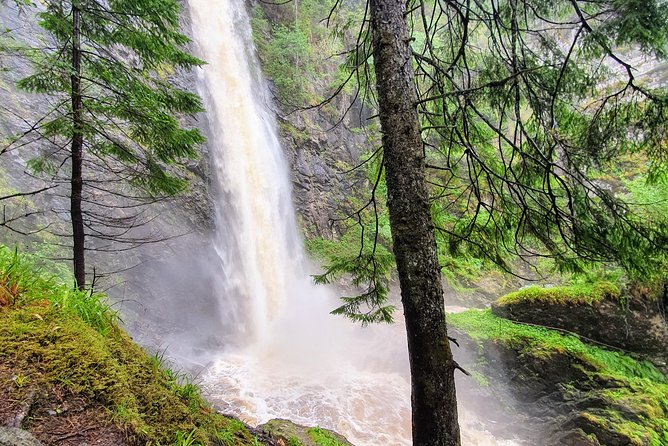 Alternative Loch Ness Tour by Secret Highlands - Moderate Physical Requirements