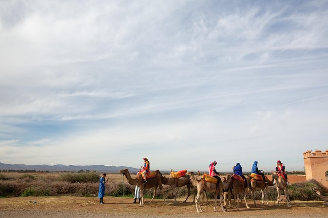 Atlas Mountains and 3 Valleys & Waterfalls - Camel Ride Marrakech - Camel Ride Experience