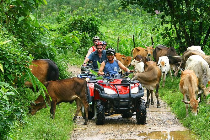 ATV Adventure in Puerto Rico El Yunque Rainforest - Pricing Information