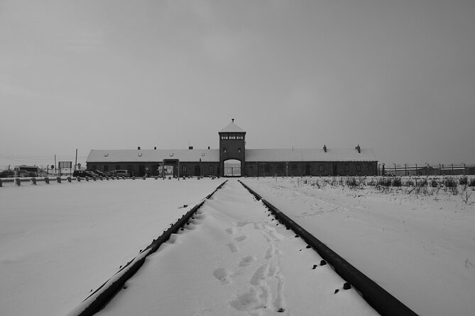 Auschwitz Birkenau Transfer and Guide With Salt Mine Combo Option - Traveler Requirements