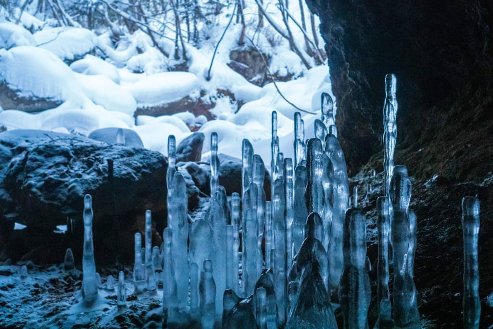 Bamboo Ice Cave Snowshoe Tour Review - Discovering Animal Tracks