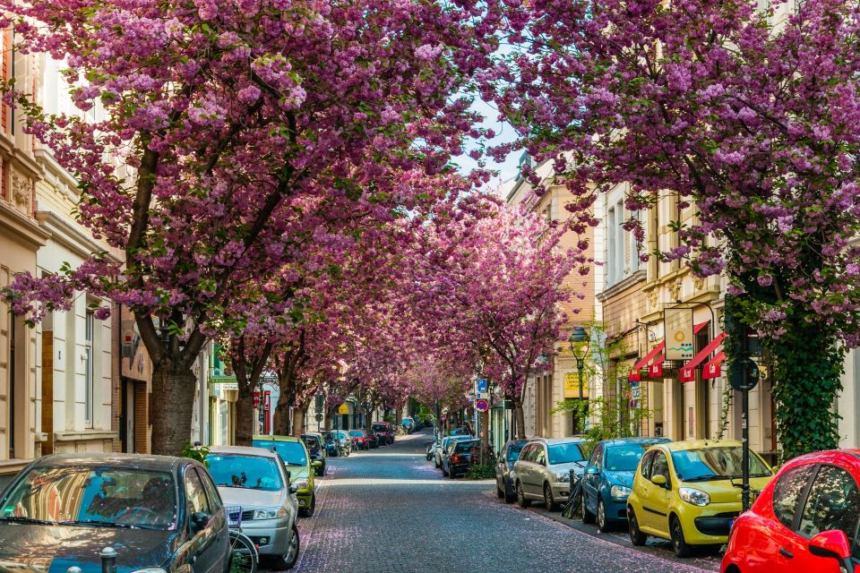 Beethoven and Bonn Highlights Tour From Cologne by Car - Discovering the Federal Republic Museum