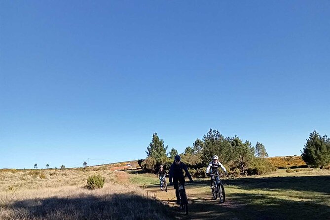 Botanical Trails of Madeira. Mountain Biking Trail Experience - Guest Reviews