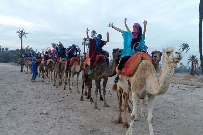 Camel Riding in Marrakech - Camel Riding in Marrakech