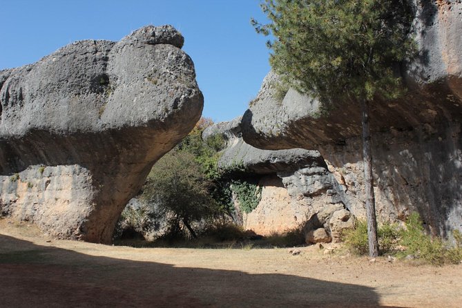 Cuenca and the Enchanted City Full Day Tour From Madrid - Meeting Point and Additional Details