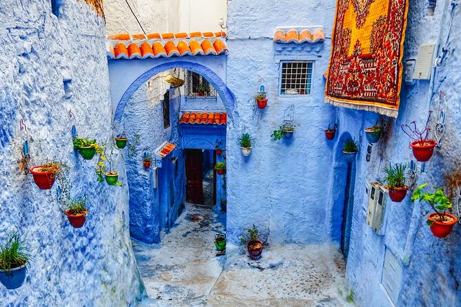 Day Trip Transport From Fes to Chefchaouen (The Blue City) - Transportation Operator and Guarantee