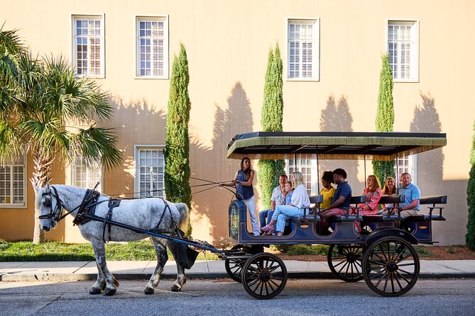 Daytime Horse-Drawn Carriage Sightseeing Tour of Historic Charleston - Customer Feedback