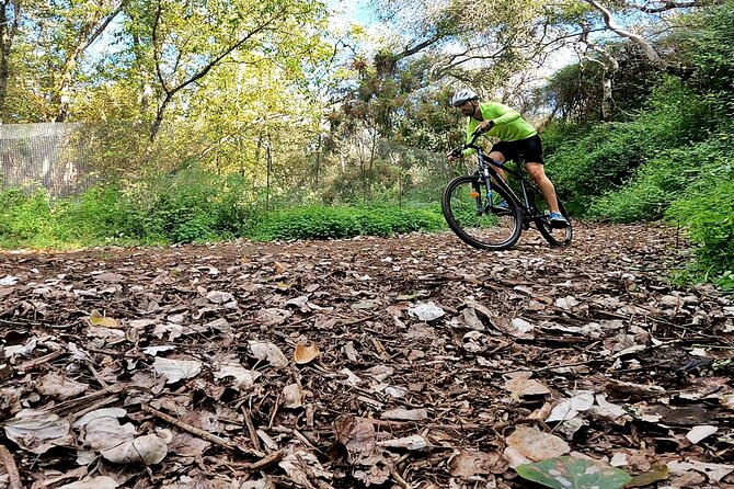 Descend in Mountain Bike in Northern Forests of Gran Canaria - Booking Information