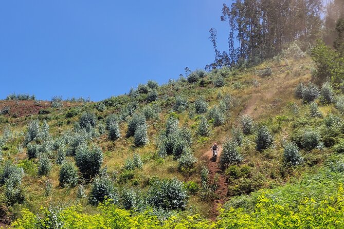 Dirt-Bike Tour in Madeira - Cancellation Policy