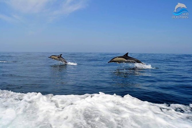 Dolphins Watching - Physical Fitness Requirement