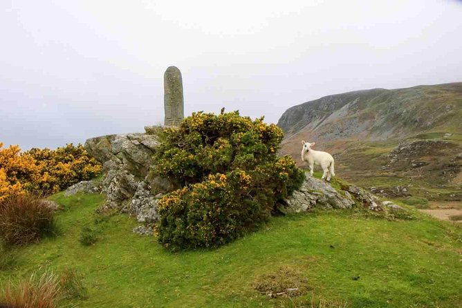 Donegal Coast One Day Self-Guided E-Bike Tour - Height Requirement and Age Limit