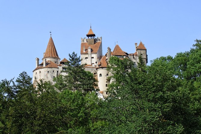 Dracula Castle, Peles Castle and Rasnov Fortress From Brasov - Pricing and Cancellation Policy