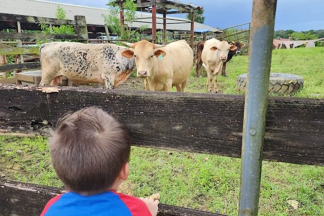 Eco Friendly Farming Tour to Explore Dorados Most Beautiful Farm - Traveler Reviews and Experiences