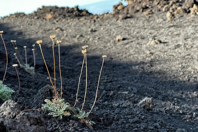 Etna Morning or Sunset - Trek & Lava Tunnel With Gear - Gear and Equipment