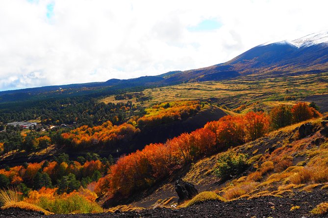 ETNA - Trekking to the Craters Eruption of 2002 - Additional Details