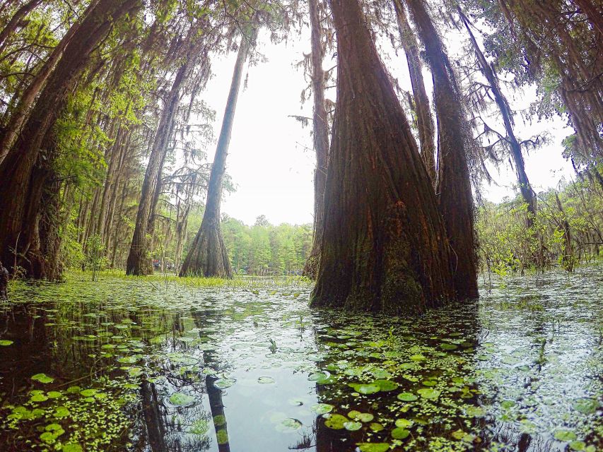 Florida Keys: Key West Kayak Eco Tour With Nature Guide - Included in Tour