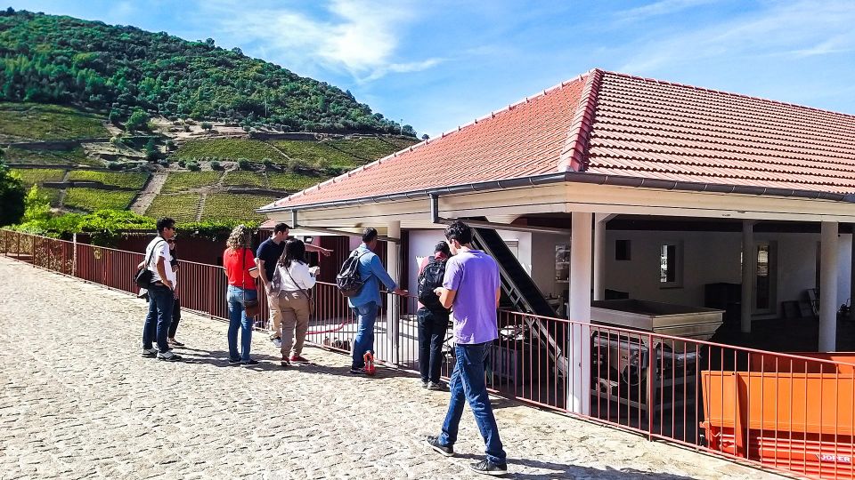 Foz Côa & Douro Private Tour: Rock Carvings and Superb Views - Douro Valley UNESCO Highlights