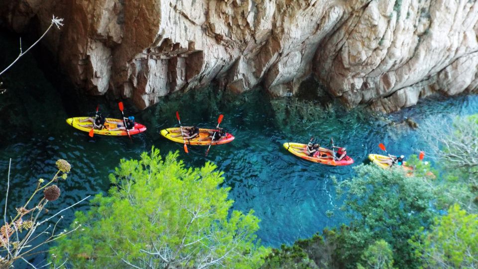 From Barcelona: Costa Brava Trekking and Kayaking Tour - Participant Information and Requirements