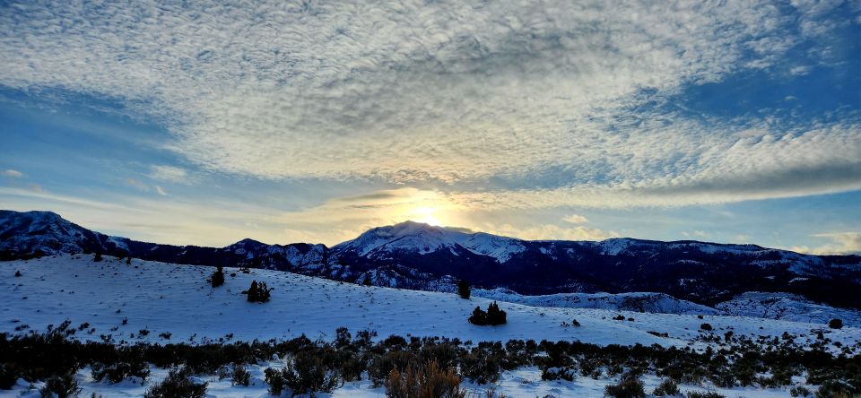 From Gardiner: Yellowstone National Park Snowshoe Tour - Observing Yellowstones Wildlife