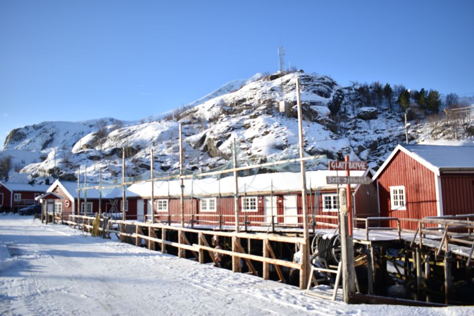 From Leknes: Private Lofoten Islands Tour With Transfer - Flakstadpollen Fjord Discovery