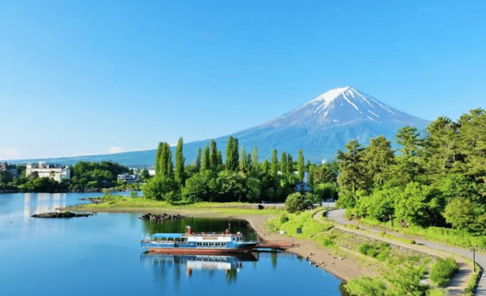 From Tokyo: Mount Fuji Full Day Private Tours English Driver - Booking Information