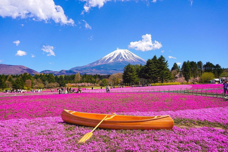 From Tokyo: Mt. Fuji And Hakone Private Sightseeing Day Trip - Itinerary B: Hakone Experience