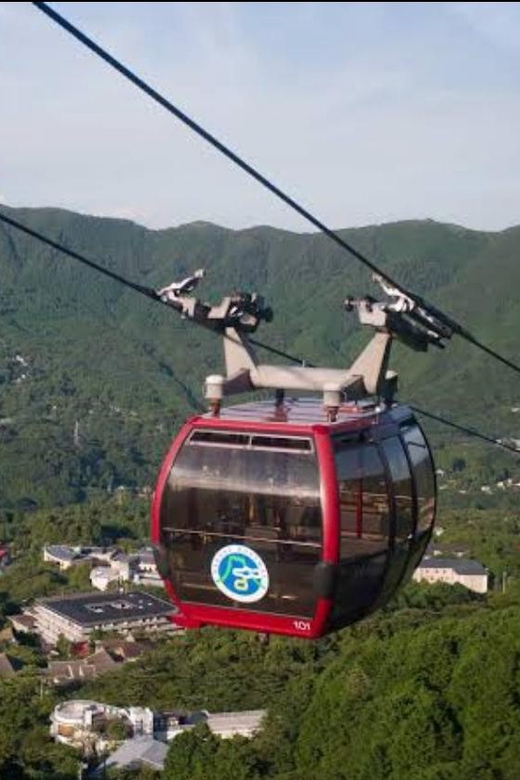 From Tokyo: Mt Fuji and Hakone Ropeway Private Tour - Live Tour Guide Options