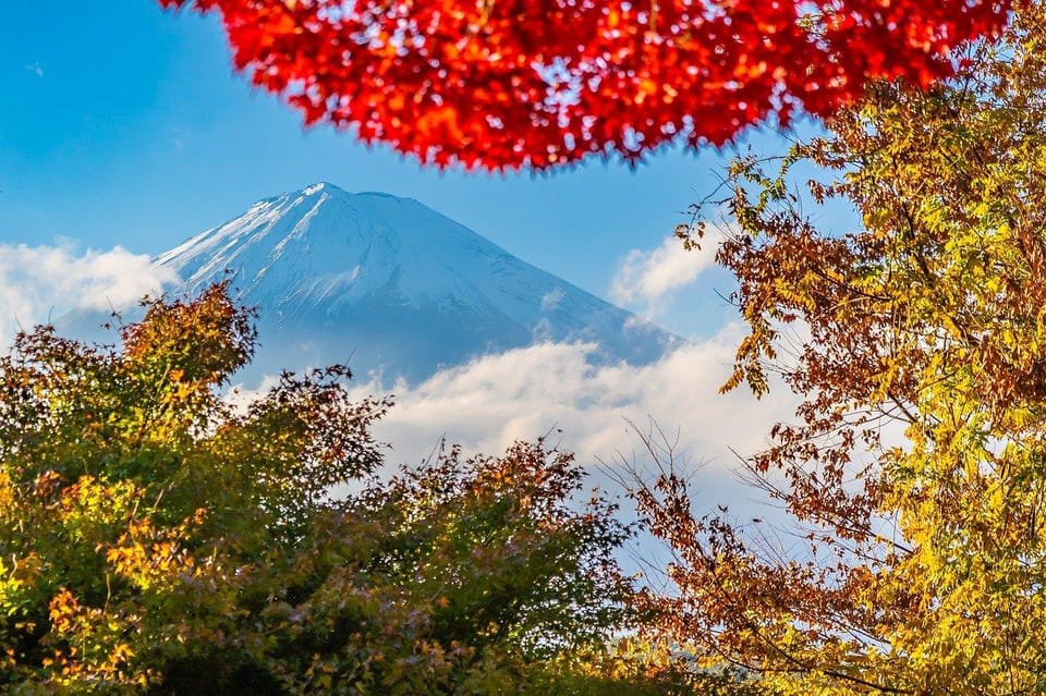 From Tokyo: Mt. Fuji or Hakone Private Sightseeing Day Trip - Inclusions and Fees