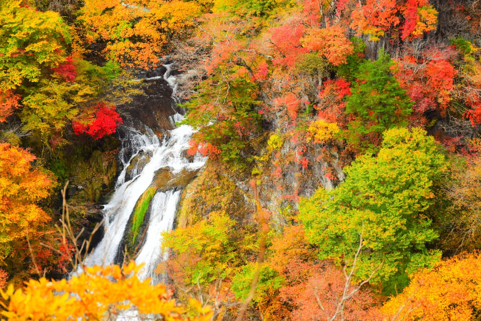 From Tokyo: Nikko Full-Day Private Sightseeing Day Trip - Included Services