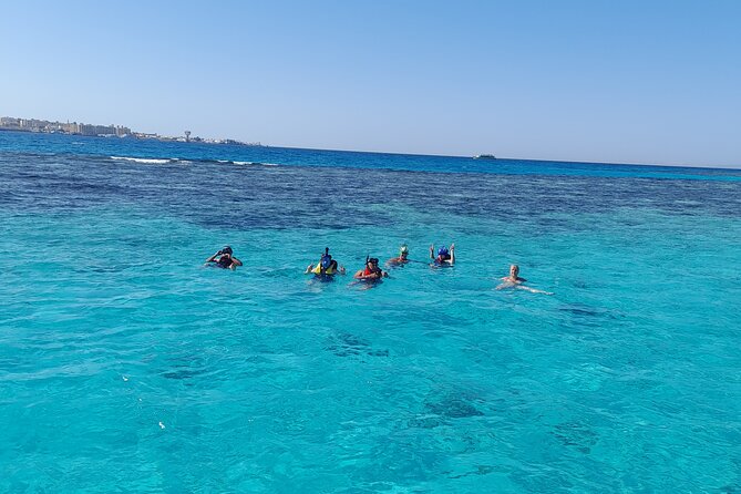 Full-Day Experience With Dolphins and Snorkeling in Red Sea - Dolphin Encounter