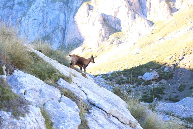 Full Day Private 4WD Tour From Santander to Picos De Europa. Excellent Meals. - Pickup Information