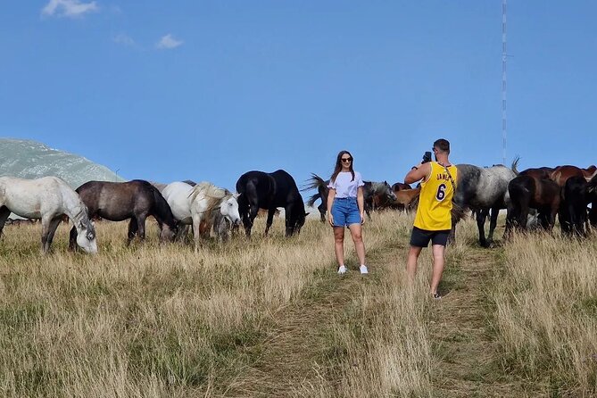 Full-Day Quad and Wild Horses Safari in Livno From Split - Cancellation Policy