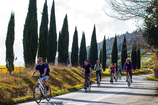 Full-Day Tuscan Countryside Bike Tour - Learning About Wine and Olive Oil