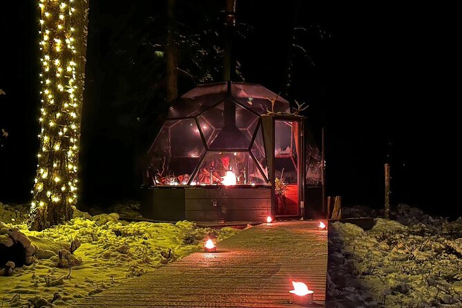 Glass Igloo Campfire Dinner Under Northern Lights - Highlights of the Experience