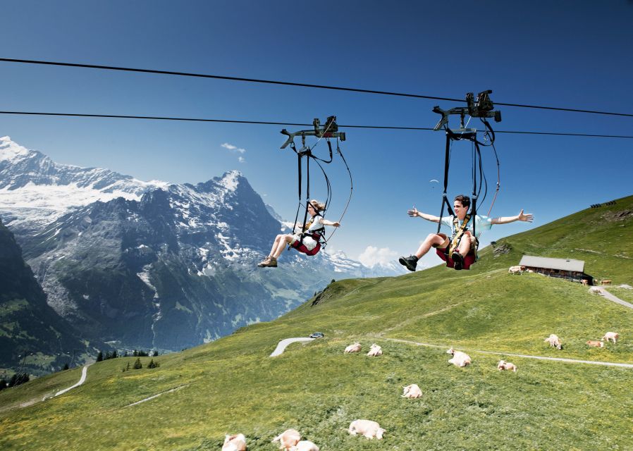 Grindelwald Gondola Ride to Mount First - Customer Reviews and Ratings