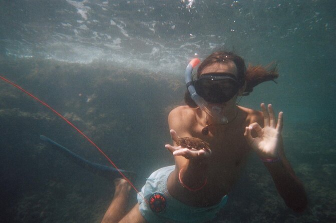 Guided Snorkeling in a Secret Spot of Begur, Costa Brava - Transportation and Pickup Point