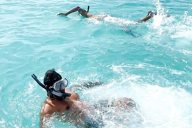 Half Day Snorkeling and Beach Tour/Excursion - Accessibility