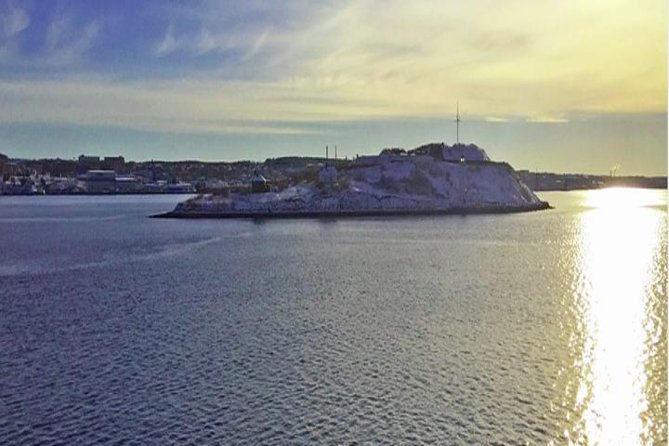 Halifax Shore Excursion: Peggys Cove With the Best of Halifax - Air-Conditioned Minivan Transportation