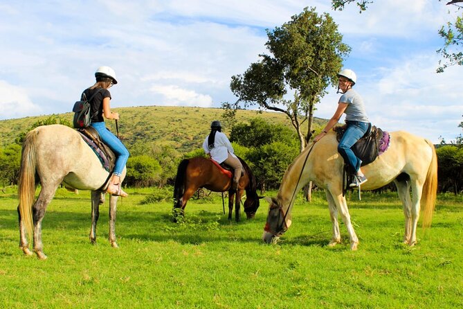 Harties Horse Trail Safari Half Day - Things to Bring