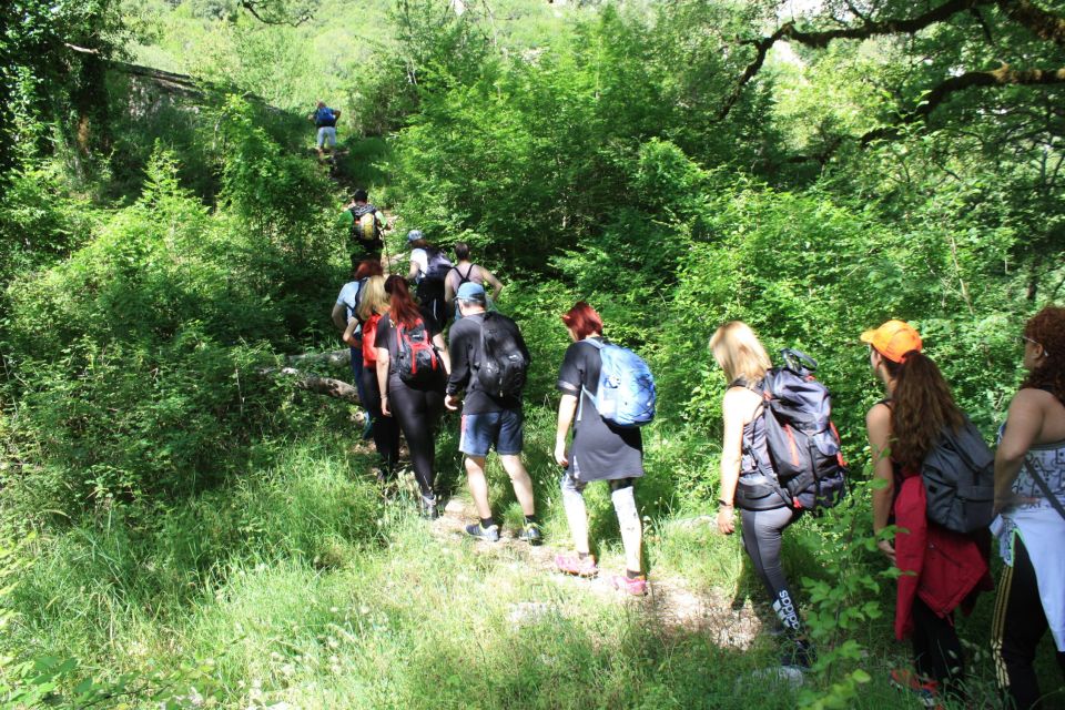 Hiking Tour to Vikos Gorge - Wildlife and Natural Attractions