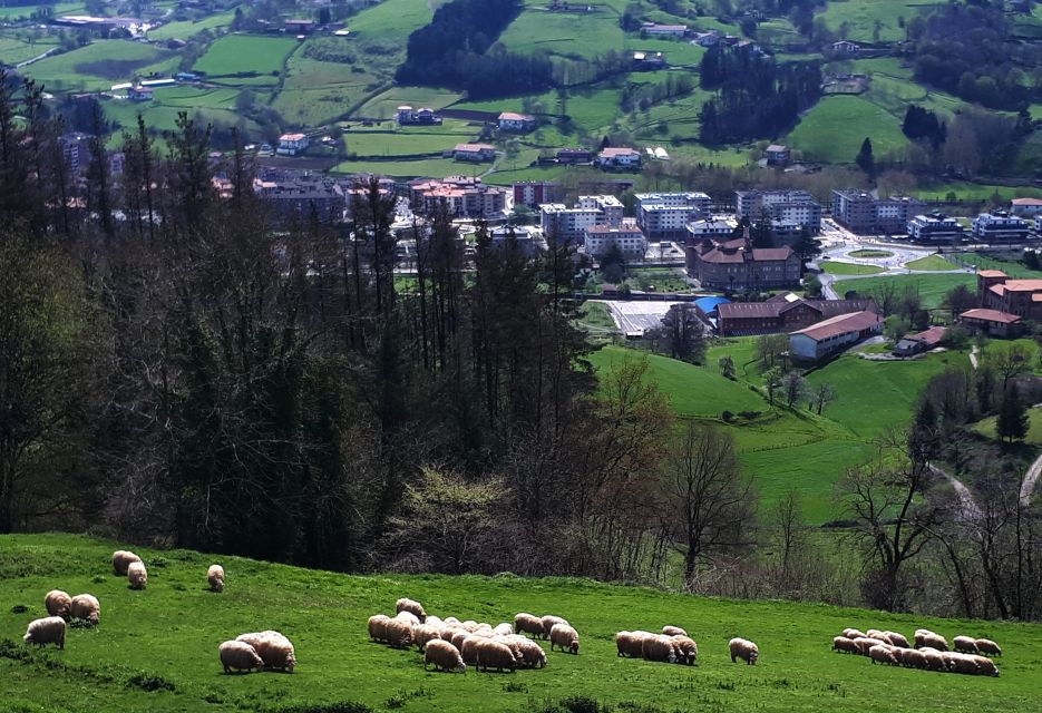 Idiazabal Cheese Tour From San Sebastian - Booking Information