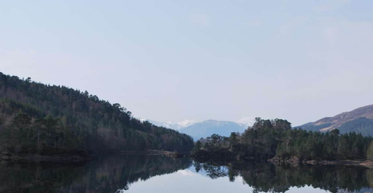 Inverness: Alternative Loch Ness Tour - Douglas Firs Forests