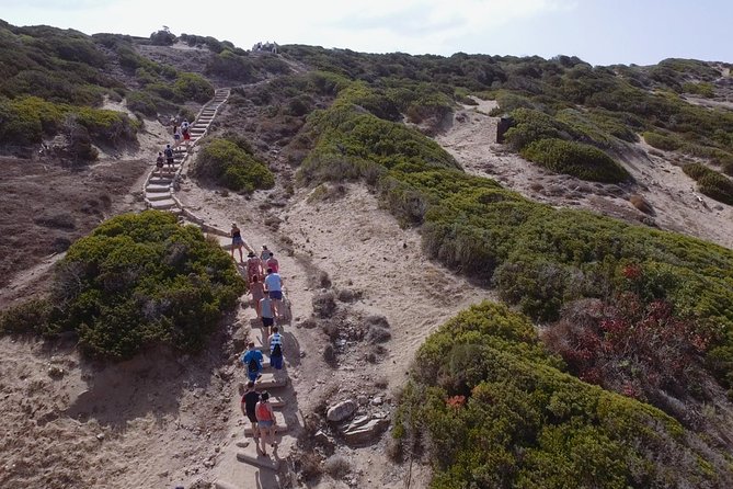 Jeep Safari Akamas Expedition From Paphos - Jeep Tour From Paphos