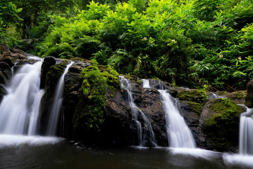 Kahului: Guided Rainforest and Waterfall Walk - Customer Reviews