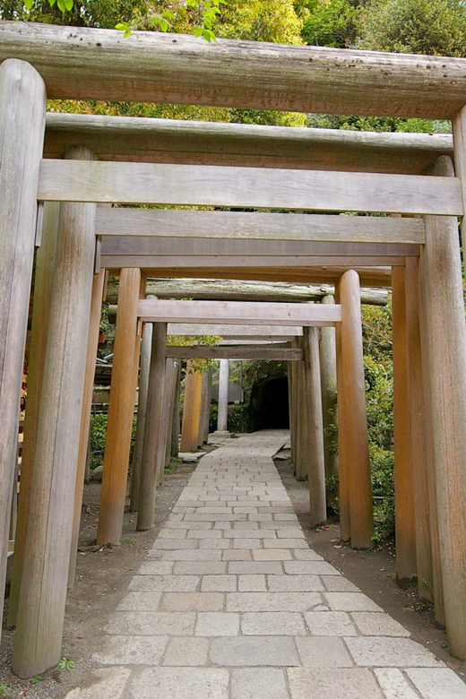 Kamakura: 5-Hour Nature and History Tour Review - Important Information