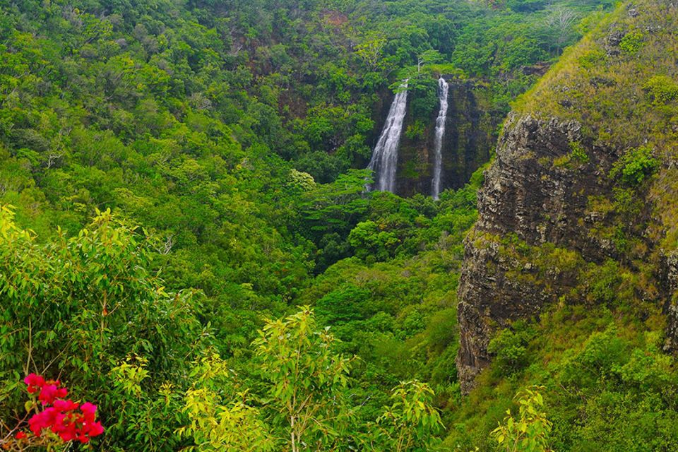 Kauai: Scenic Movie Locations Bus Tour - Exploring Scenic Movie Locations