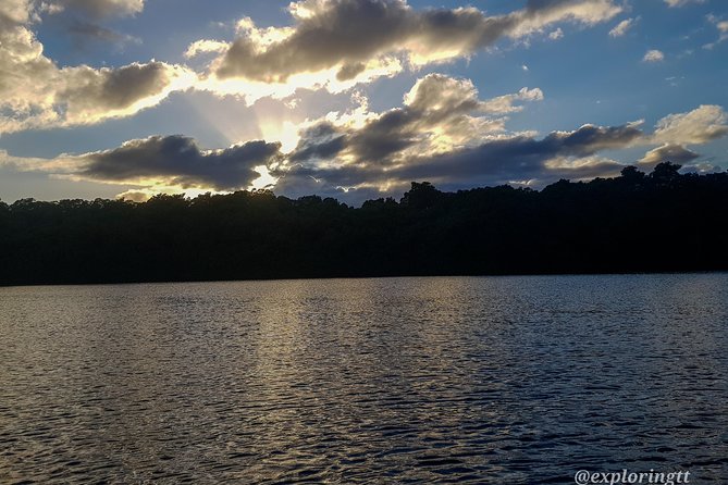 Kayak Adventure in the Second Largest Swamp of Trinidad and Tobago - Exploring Caroni Swamps Mangroves