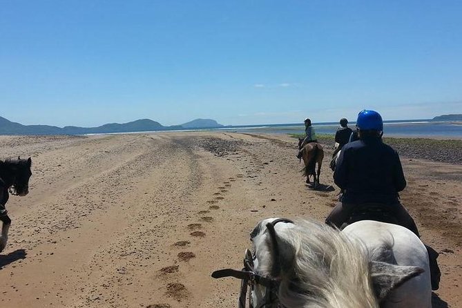 Killarney National Park Horseback Ride. Co Kerry. Guided. 2 Hours. - Experience Modifications