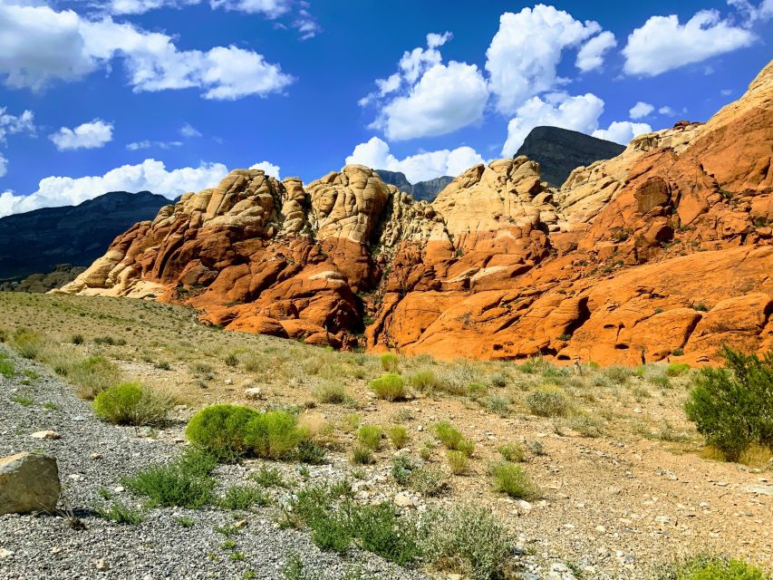 Las Vegas: Red Rock Canyon & Whimsical Cactus Joes + Lunch - Inclusions