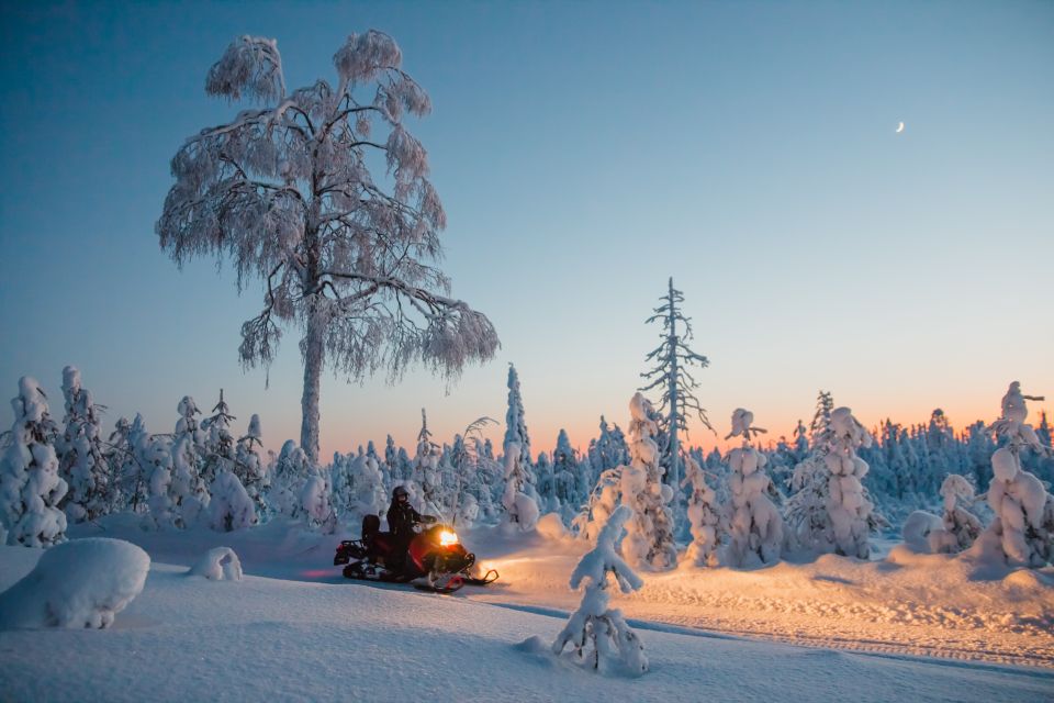 Levi: Evening Snowmobile Safari - Booking and Cancellation